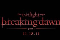 Veja cena da lua de mel de Edward e Bella no filme Amanhecer – A Saga Crepúsculo – Parte 1