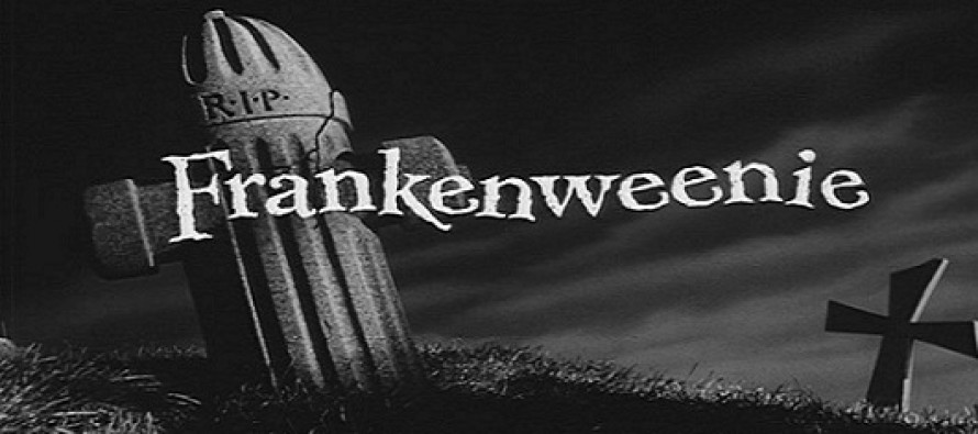 Frankenweenie: nova imagem divulgada para a animação de Tim Burton