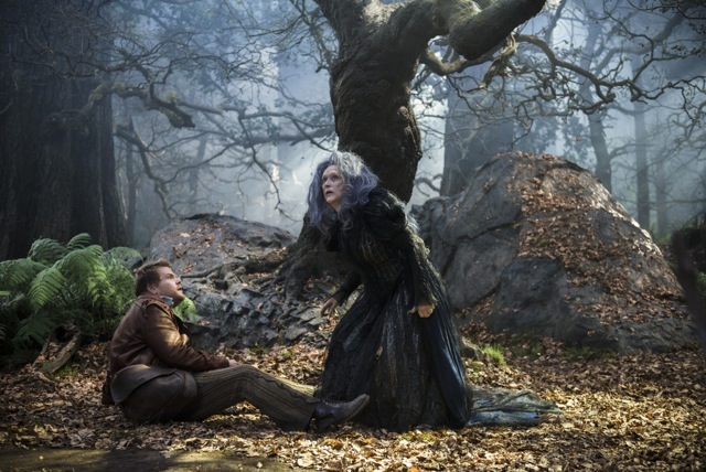 Into the Woods-Offcial Poster Banner PROMO PHOTOS-31JULHO2014-08