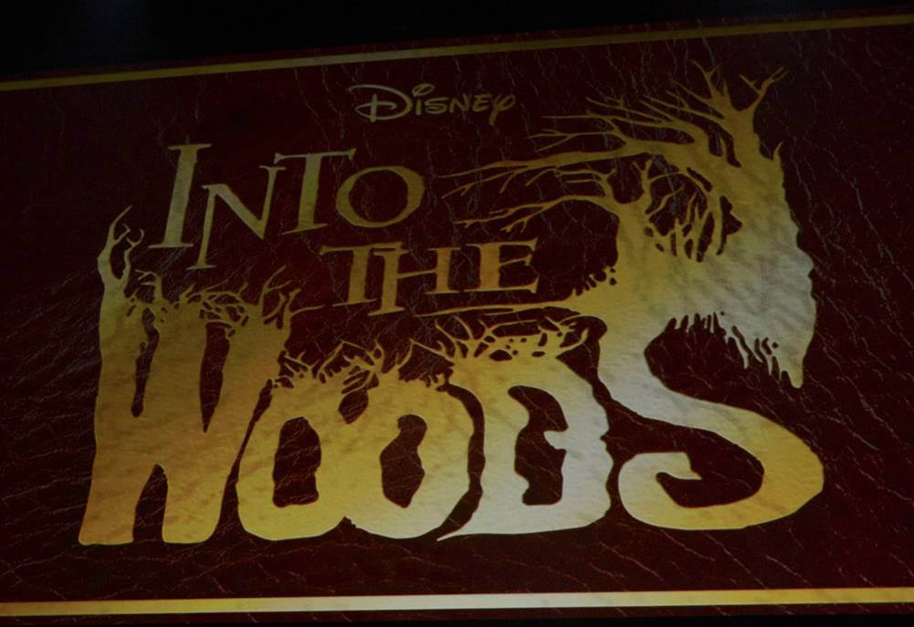 Into the Woods-Offcial Poster Banner PROMO PHOTOS-31JULHO2014-12