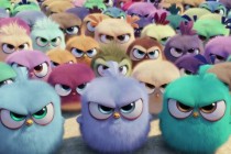 Assista ao novo TRAILER para animação ANGRY BIRDS – O FILME