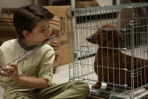 Pequeno dachshund espalha alegria no TRAILER de WIENER-DOG