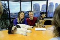 Estopinha e Barthô são embaixadores de ‘Pets – A Vida Secreta dos Bichos’ no Brasil