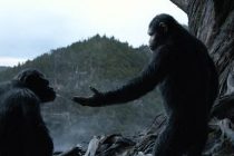 Cinemark terá sala tematizada de ‘Planeta dos Macacos: A Guerra’